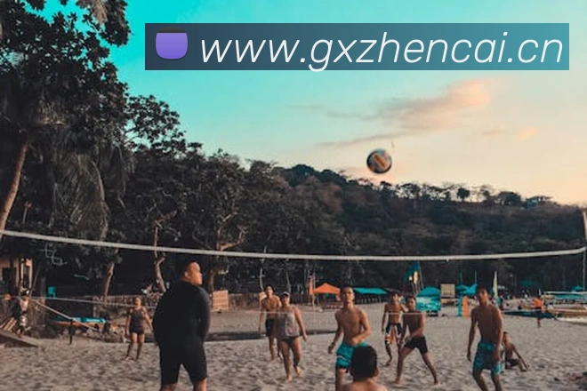 App Interface Preview